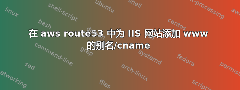 在 aws route53 中为 IIS 网站添加 www 的别名/cname