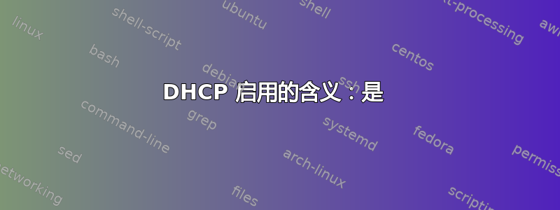 DHCP 启用的含义：是 