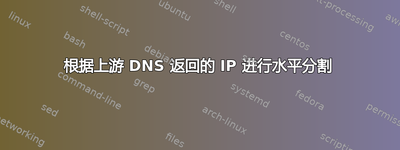 根据上游 DNS 返回的 IP 进行水平分割