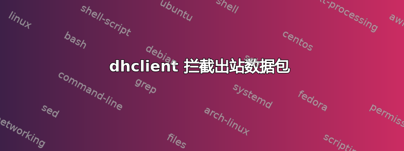 dhclient 拦截出站数据包