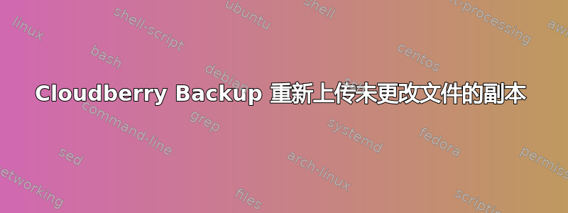 Cloudberry Backup 重新上传未更改文件的副本