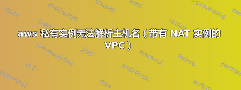 aws 私有实例无法解析主机名（带有 NAT 实例的 VPC）