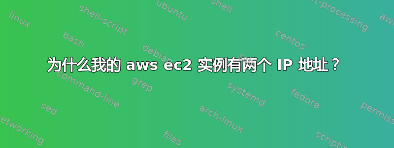 为什么我的 aws ec2 实例有两个 IP 地址？