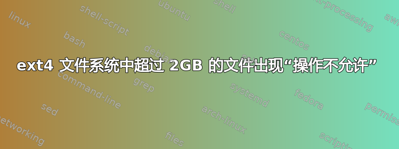 ext4 文件系统中超过 2GB 的文件出现“操作不允许”