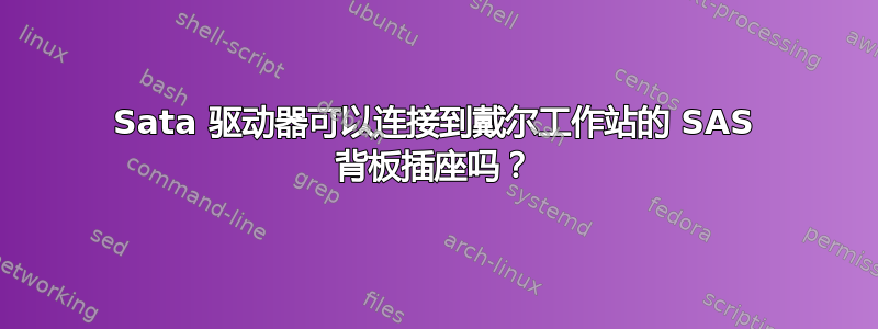 Sata 驱动器可以连接到戴尔工作站的 SAS 背板插座吗？