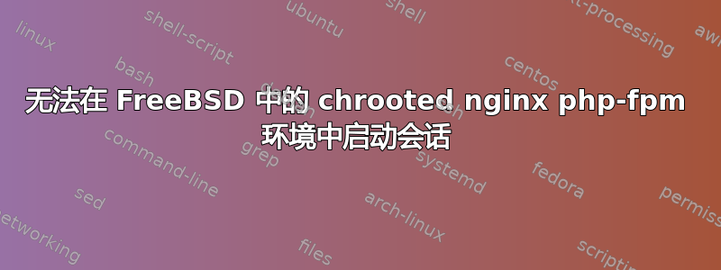 无法在 FreeBSD 中的 chrooted nginx php-fpm 环境中启动会话