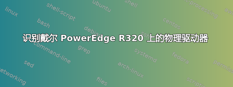 识别戴尔 PowerEdge R320 上的物理驱动器