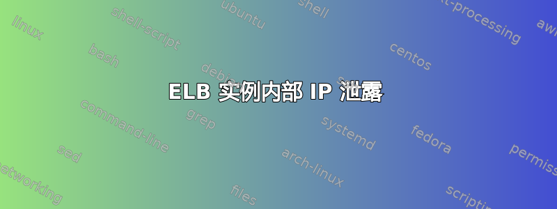 ELB 实例内部 IP 泄露