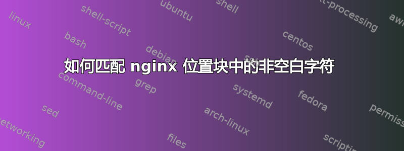如何匹配 nginx 位置块中的非空白字符