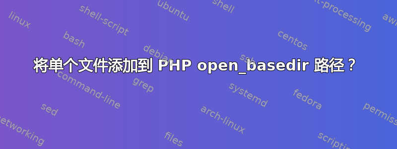 将单个文件添加到 PHP open_basedir 路径？