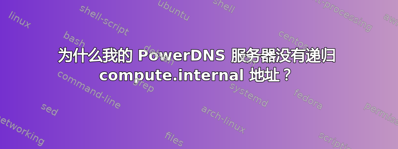 为什么我的 PowerDNS 服务器没有递归 compute.internal 地址？