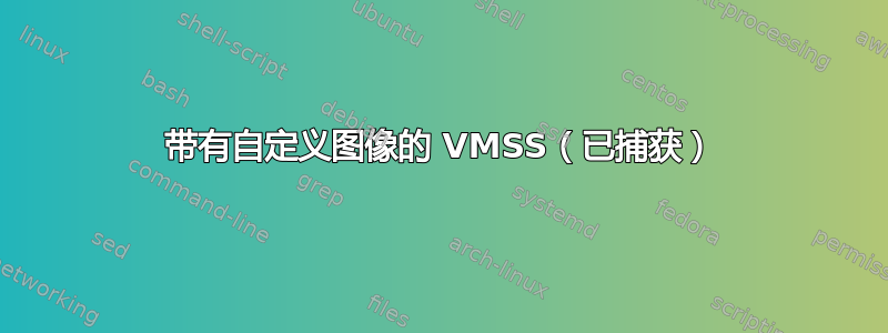 带有自定义图像的 VMSS（已捕获）