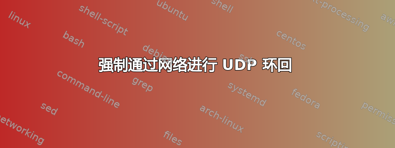 强制通过网络进行 UDP 环回