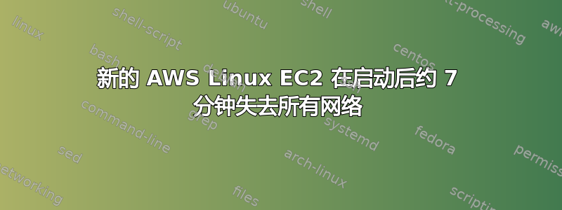 新的 AWS Linux EC2 在启动后约 7 分钟失去所有网络