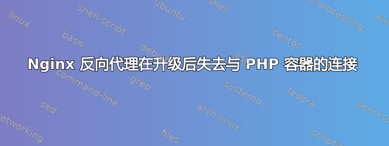 Nginx 反向代理在升级后失去与 PHP 容器的连接