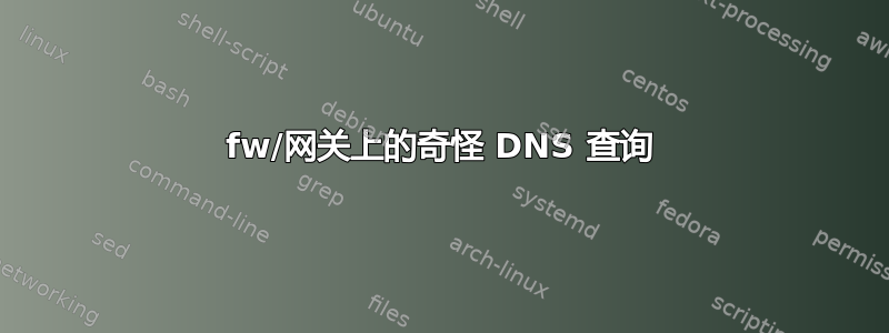 fw/网关上的奇怪 DNS 查询