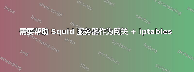 需要帮助 Squid 服务器作为网关 + iptables