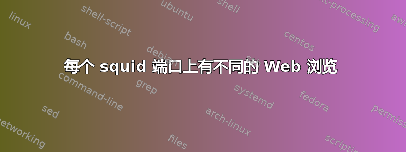 每个 squid 端口上有不同的 Web 浏览