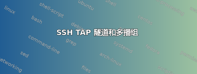 SSH TAP 隧道和多播组