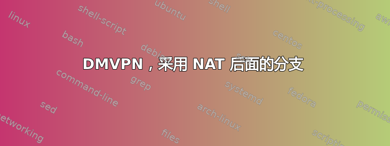 DMVPN，采用 NAT 后面的分支