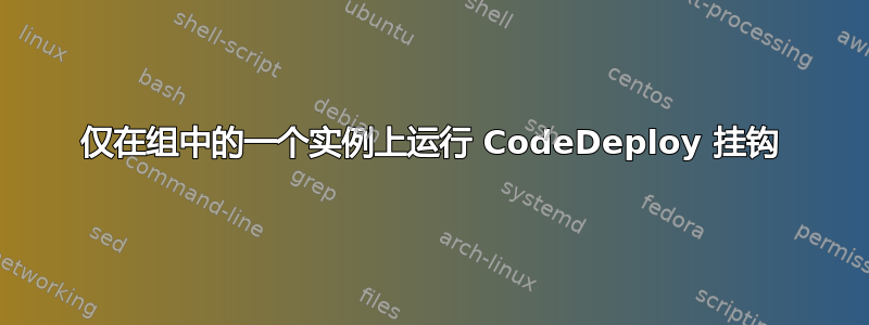 仅在组中的一个实例上运行 CodeDeploy 挂钩