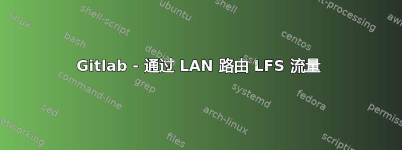 Gitlab - 通过 LAN 路由 LFS 流量