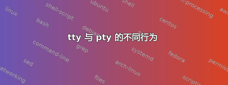 tty 与 pty 的不同行为