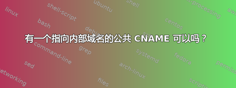 有一个指向内部域名的公共 CNAME 可以吗？