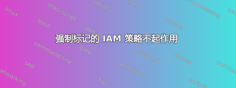 强制标记的 IAM 策略不起作用