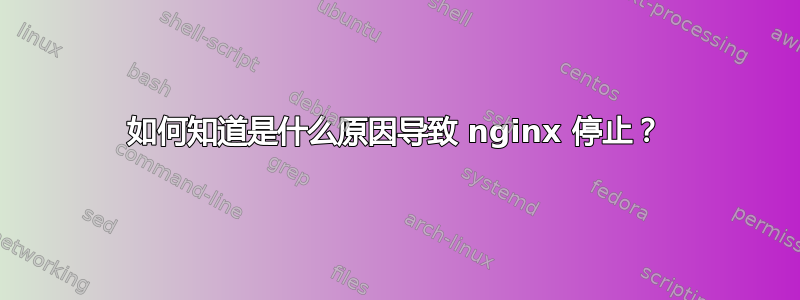 如何知道是什么原因导致 nginx 停止？