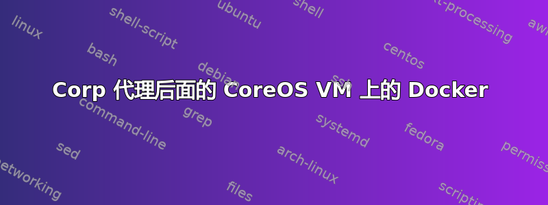 Corp 代理后面的 CoreOS VM 上的 Docker