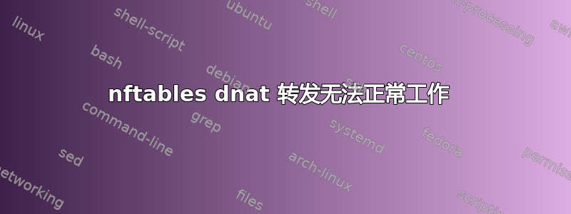 nftables dnat 转发无法正常工作 