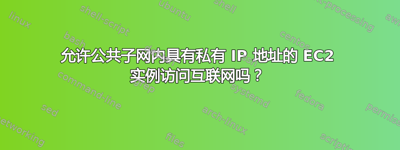 允许公共子网内具有私有 IP 地址的 EC2 实例访问互联网吗？