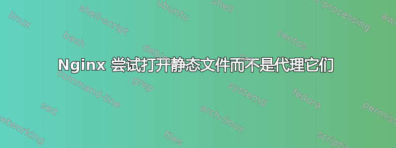 Nginx 尝试打开静态文件而不是代理它们