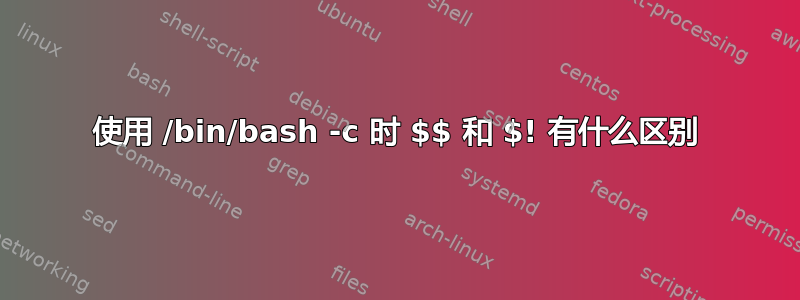 使用 /bin/bash -c 时 $$ 和 $! 有什么区别