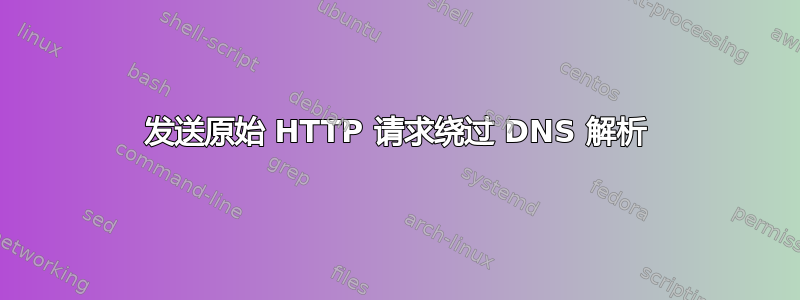 发送原始 HTTP 请求绕过 DNS 解析