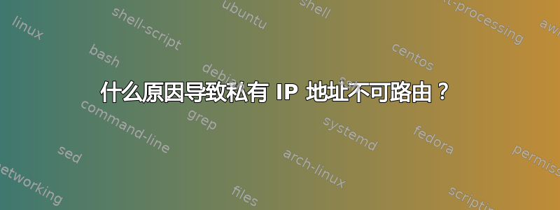 什么原因导致私有 IP 地址不可路由？