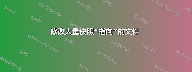 修改大量快照“指向”的文件