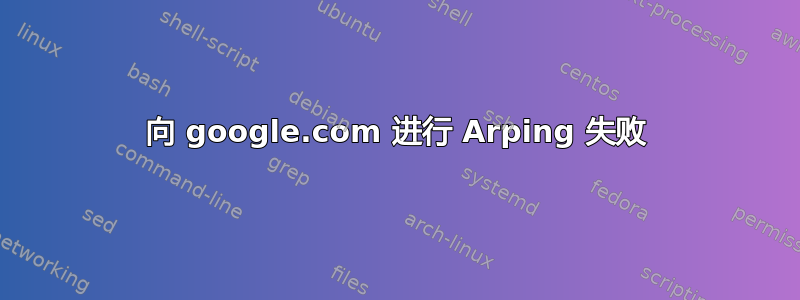 向 google.com 进行 Arping 失败