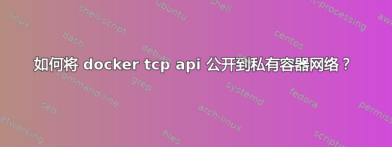 如何将 docker tcp api 公开到私有容器网络？