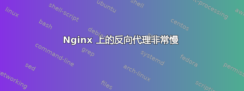 Nginx 上的反向代理非常慢