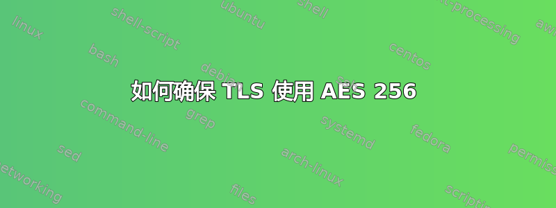 如何确保 TLS 使用 AES 256