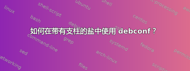 如何在带有支柱的盐中使用 debconf？