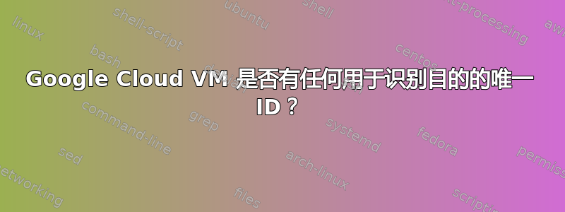 Google Cloud VM 是否有任何用于识别目的的唯一 ID？