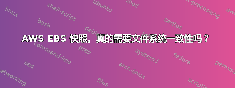 AWS EBS 快照。真的需要文件系统一致性吗？