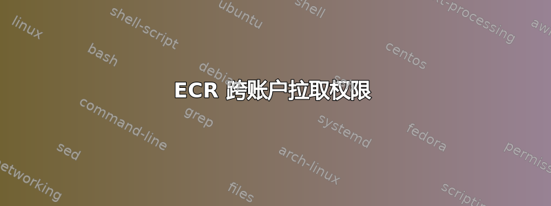 ECR 跨账户拉取权限