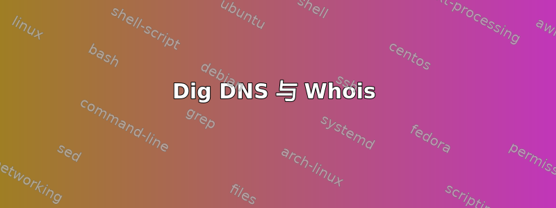 Dig DNS 与 Whois