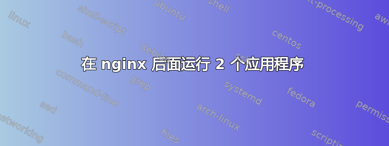 在 nginx 后面运行 2 个应用程序