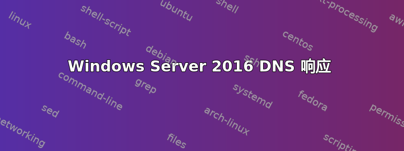 Windows Server 2016 DNS 响应