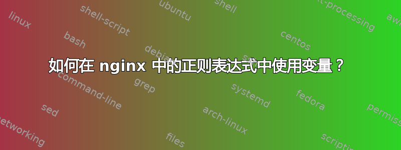 如何在 nginx 中的正则表达式中使用变量？